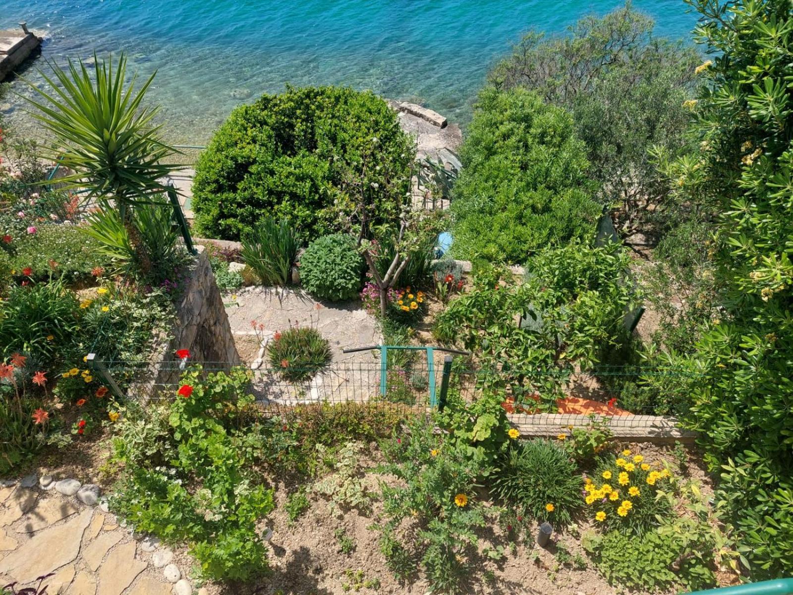 Apartment Toncica Omis Exterior photo